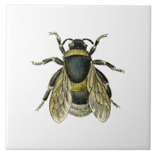 Carreau Illustration antique d'abeille