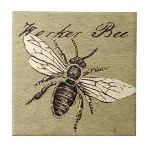 Carreau Illustration Antique d'Abeille Ouvrière Insecte Vi