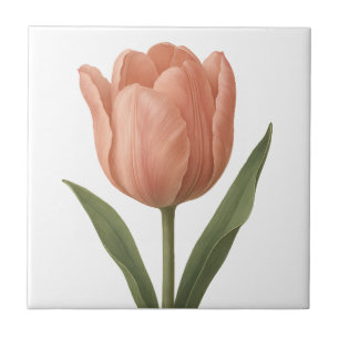Carreau Illustration botanique de la tulipe de pêche éléga