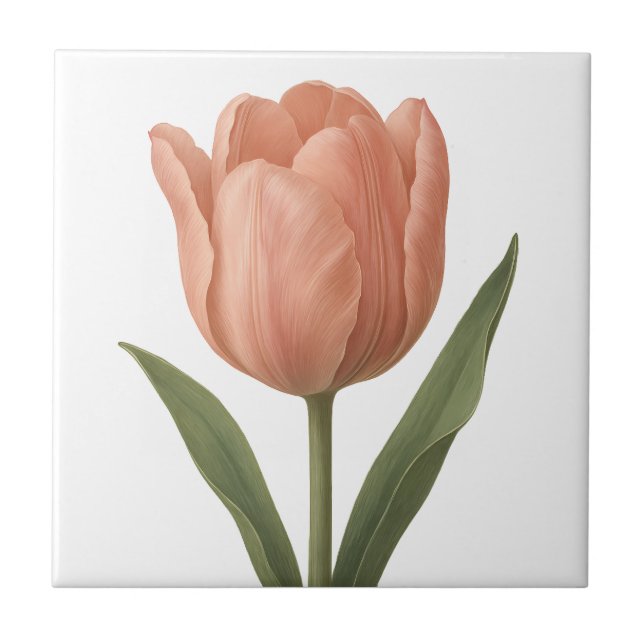 Carreau Illustration botanique de la tulipe de pêche éléga (Devant)