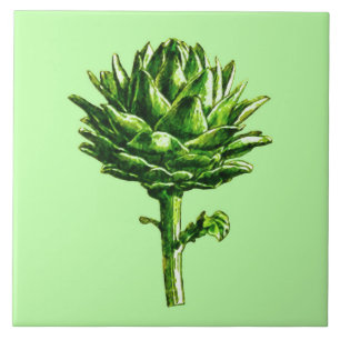 Carreau Illustration botanique vintage, Artichoke