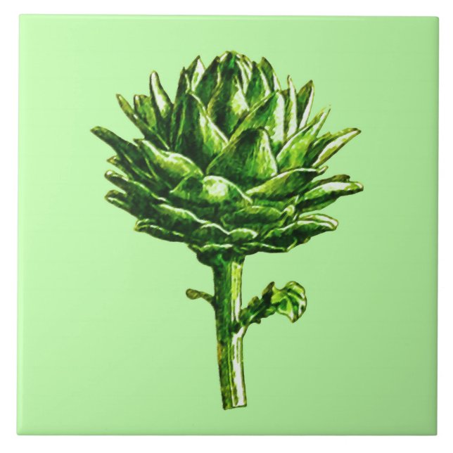 Carreau Illustration botanique vintage, Artichoke (Devant)