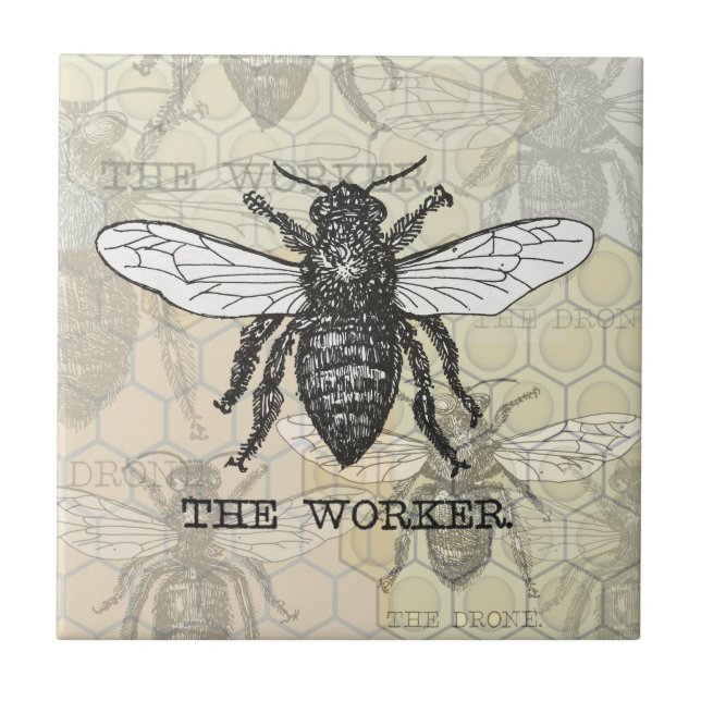 Carreau Illustration d'abeille ouvrière vintage (Devant)