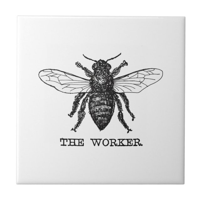 Carreau Illustration d'abeille ouvrière vintage (Devant)