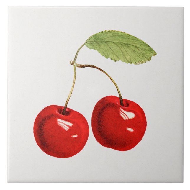 Carreau Illustration de cerise rouge (Devant)