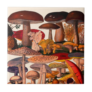Carreau Illustration de champignons jolis vintage