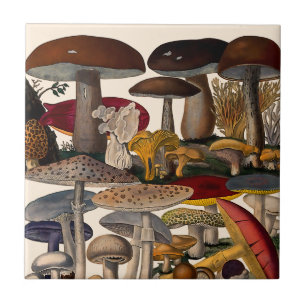 Carreau Illustration de champignons vintage