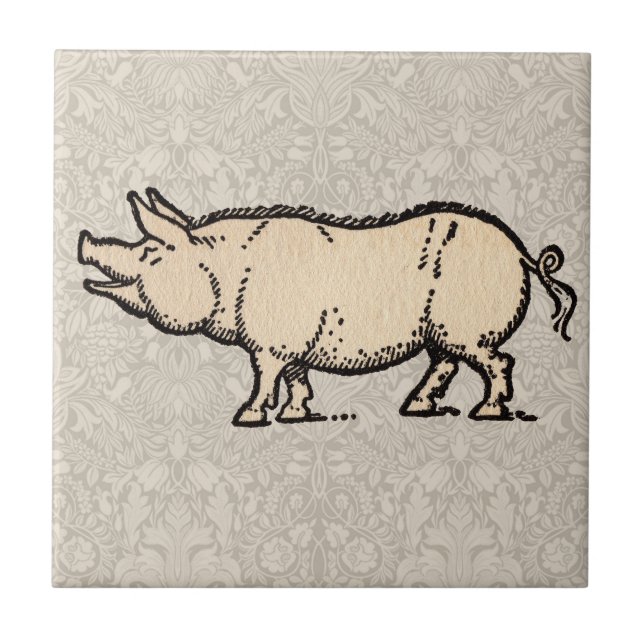 Carreau Illustration de cochon antique mignon vintage (Devant)