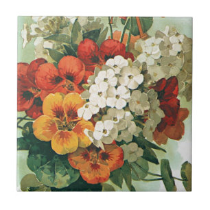 Carreau Illustration de couverture du catalogue de graines