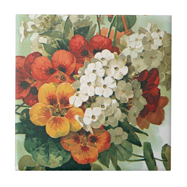 Carreau Illustration de couverture du catalogue de graines (Devant)