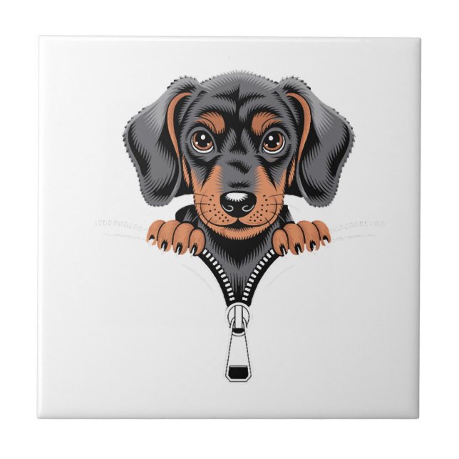 Carreau Illustration de dachshund mignon regardant par une (Devant)