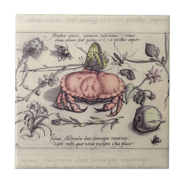 Carreau Illustration de fleur d'insecte botanique de crabe (Devant)