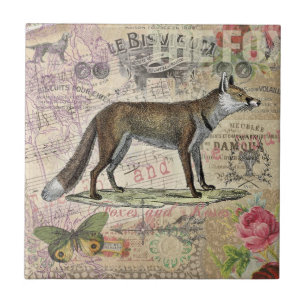 Carreau Illustration de Fox Wildlife Vintage Animal