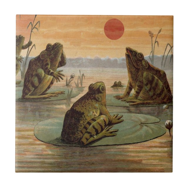 Carreau Illustration de grenouilles Lily Pads Moon (Devant)
