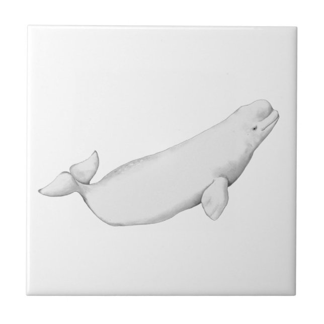Carreau Illustration de la baleine de Beluga Lover Cadeau  (Devant)