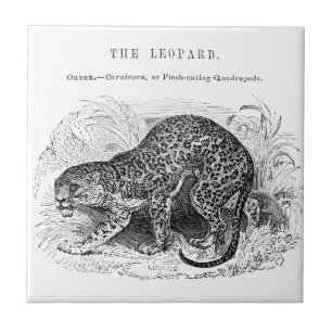 Carreau Illustration de la faune du léopard vintage