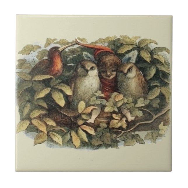 Carreau Illustration de la nature des hiboux et des fées e (Devant)