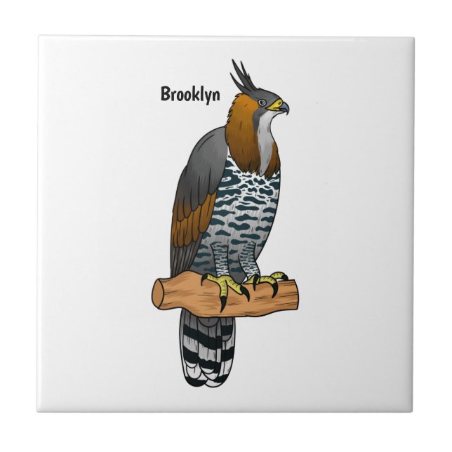 Carreau Illustration de l'aigle à faucon orné (Devant)