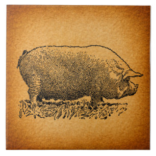 Carreau Illustration de l'art antique du cochon à l'occide