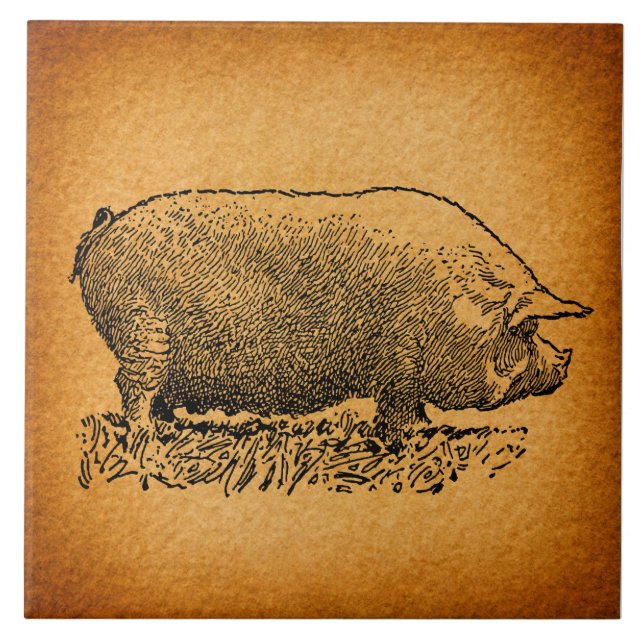 Carreau Illustration de l'art antique du cochon à l'occide (Devant)