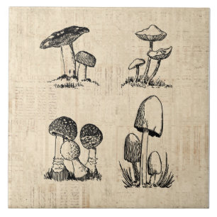Carreau Illustration de l'art des champignons vintages