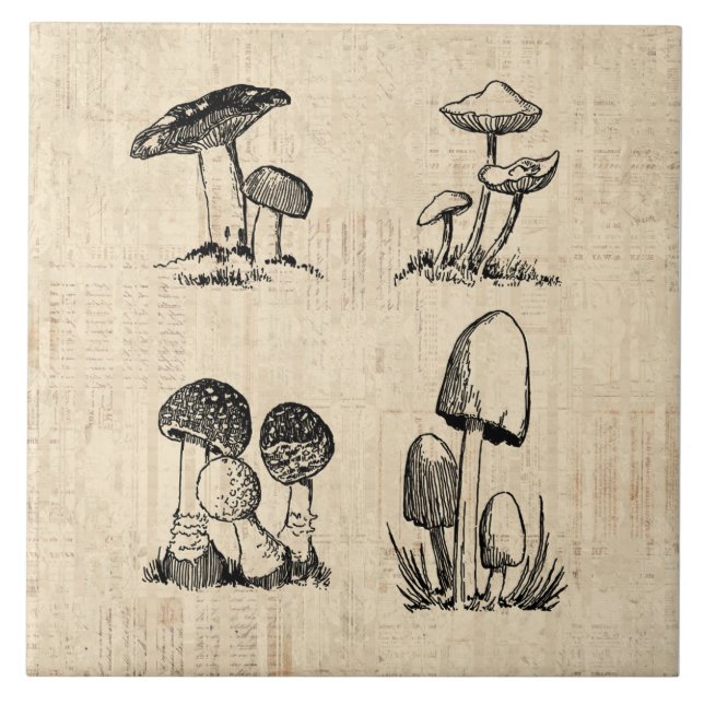 Carreau Illustration de l'art des champignons vintages (Devant)