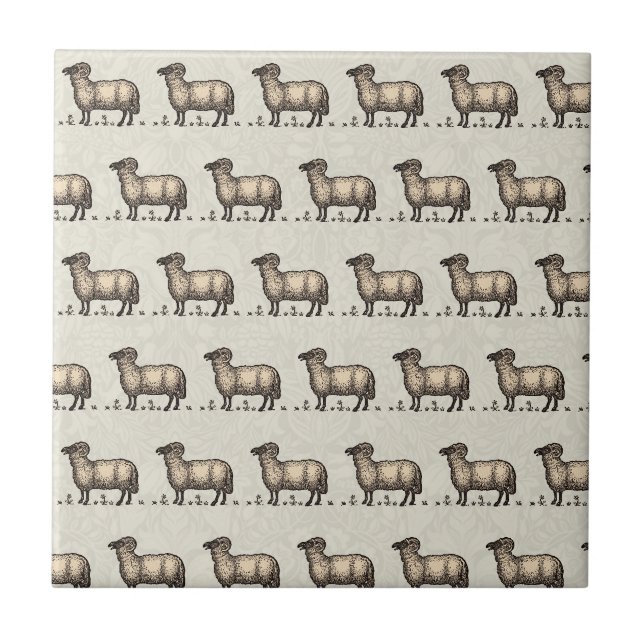 Carreau Illustration de mouton vintage : Art classique de  (Devant)