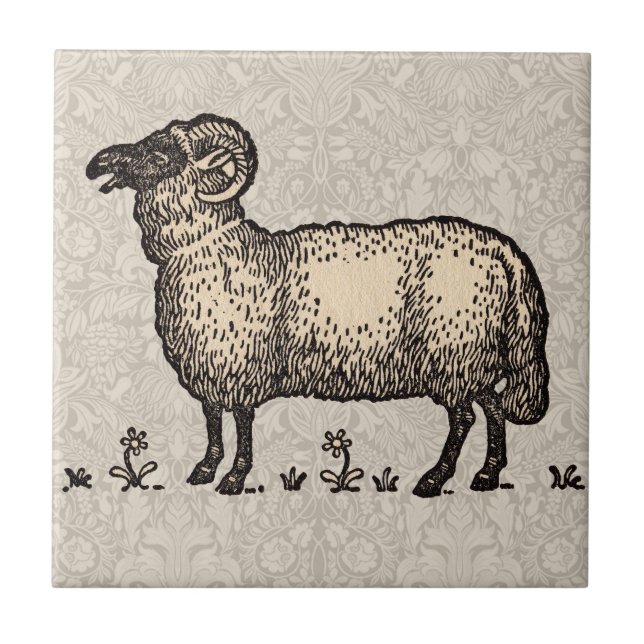 Carreau Illustration de mouton vintage : Art classique de  (Devant)