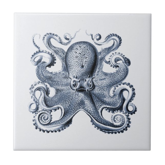 Carreau Illustration de Navy Blue Octopus par Ernst Haecke (Devant)
