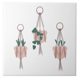 Carreau Illustration de pots de plantes suspendus en macra