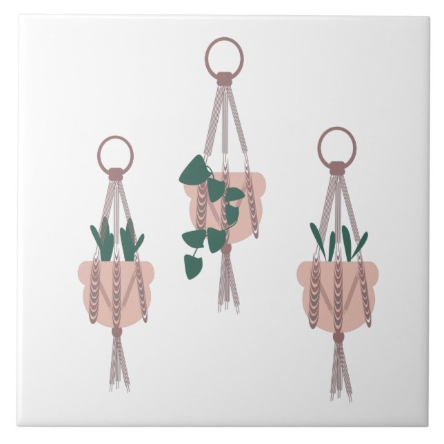 Carreau Illustration de pots de plantes suspendus en macra (Devant)
