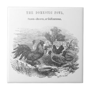 Carreau Illustration de stylo et d'encre vintages