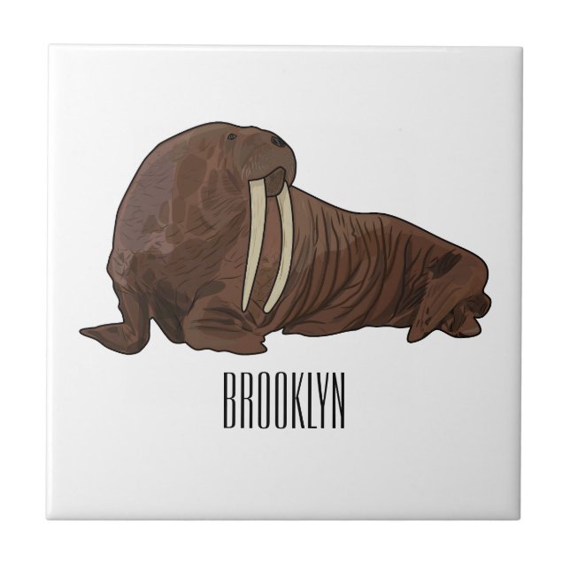 Carreau Illustration de Walrus (Devant)