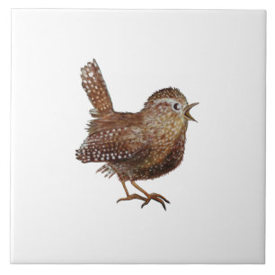 Carreau Illustration de Wren Bird (Troglodytes Troglodytes