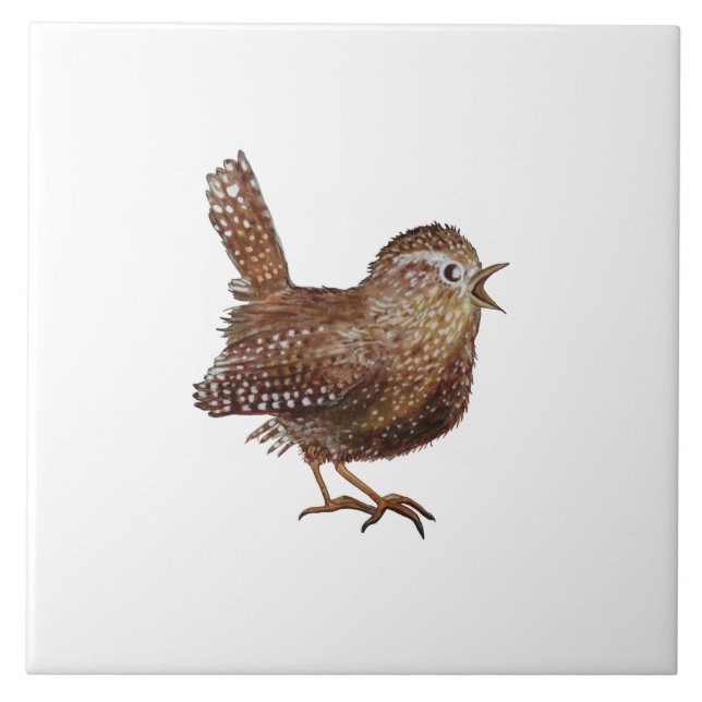 Carreau Illustration de Wren Bird (Troglodytes Troglodytes (Devant)