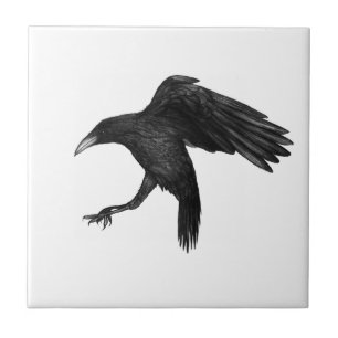 Carreau Illustration du corbeau