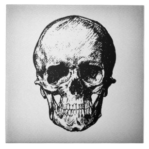Carreau Illustration du crâne Art Vintage