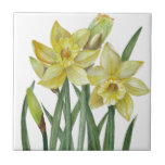 Carreau Illustration du portrait des jonquilles d'aquarell<br><div class="desc">Conçu à partir de l'illustration florale aquarelle des jonquilles par Farida Greenfield. De belles et délicates jonquilles jaunes flottent et dansent au printemps avec du feuillage vert autour d'elles et des bourgeons prêts à fleurir. Convient pour Pâques et cadeau de la Fête des Mères pour vos proches. Veuillez vérifier ma...</div>
