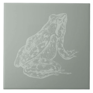 Carreau Illustration Frog CUSTOM COLOR Frog Art