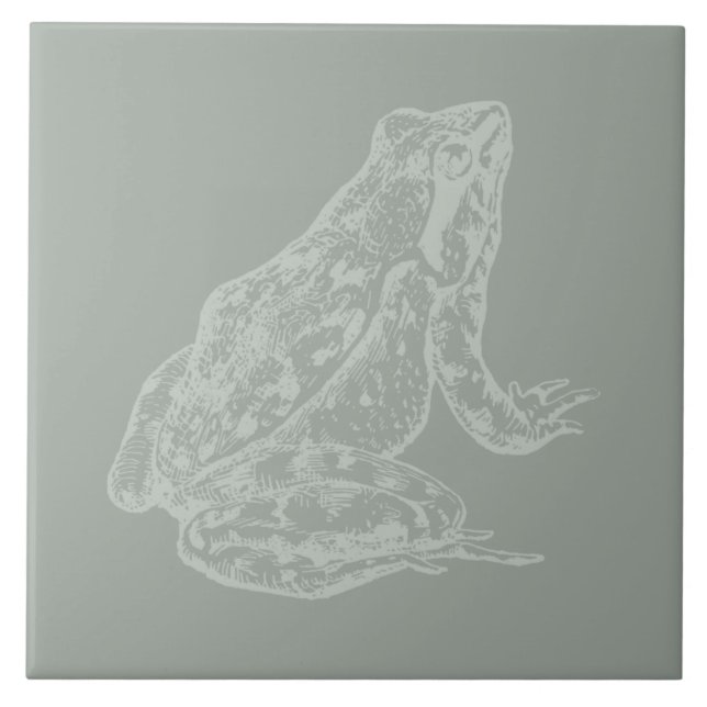 Carreau Illustration Frog CUSTOM COLOR Frog Art (Devant)