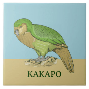 Carreau Illustration Kakapo