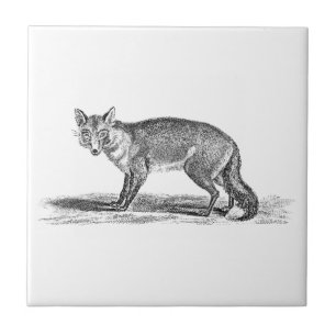 Carreau Illustration rusée vintage de Fox - renards 1800'