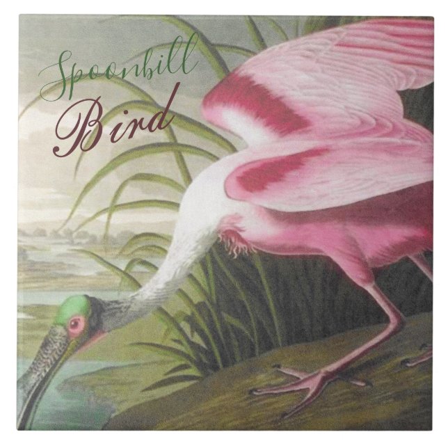 Carreau Illustration vintage Audubon de Spoonbill Bird (Devant)