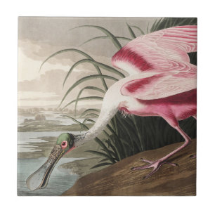 Carreau Illustration vintage d'Audubon de la Spatule rosée