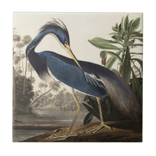 Carreau Illustration vintage d'Audubon du Héron de Louisia