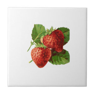 Carreau Illustration vintage de fraise
