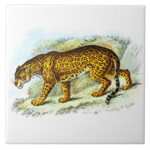Carreau Illustration vintage de l'animal Jaguar