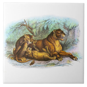 Carreau Illustration vintage De Lioness Et Cubs Animal