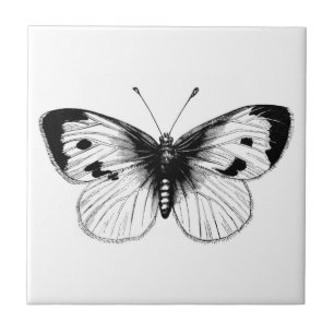 Carreau Illustration vintage de papillon du chou blanc