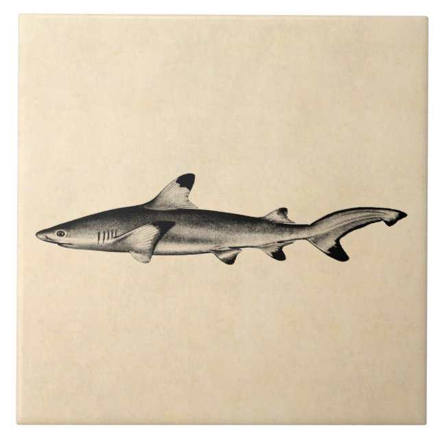 Carreau Illustration vintage de requin de récif - noir (Devant)